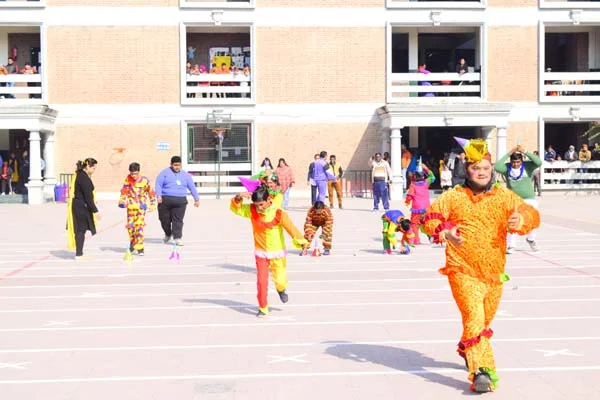 School Gallery