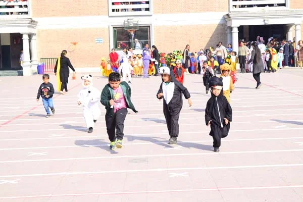 School Gallery