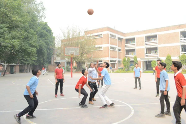 School Gallery