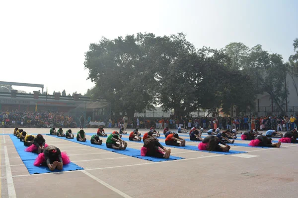 School Gallery