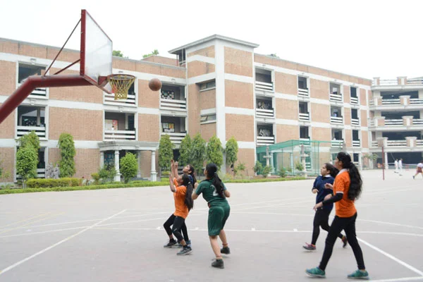 School Gallery