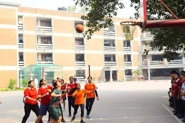 Basketball Court