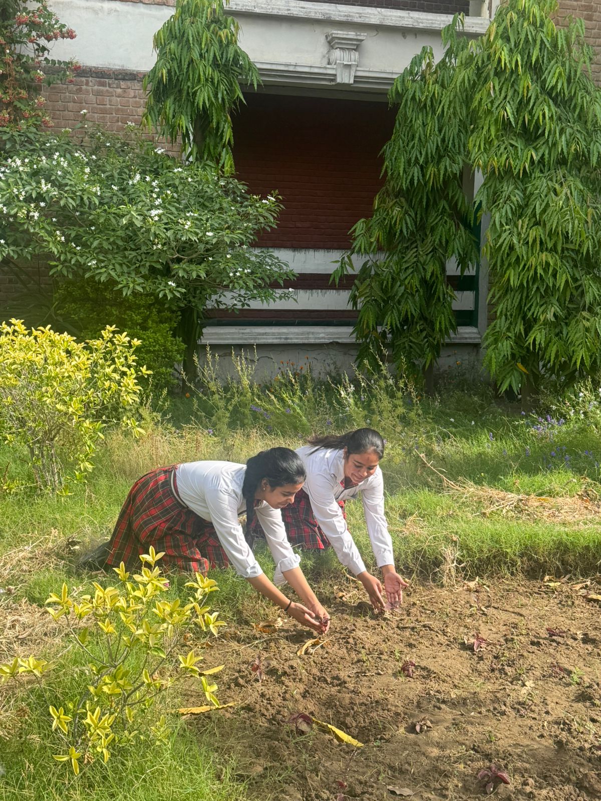 Mega Plantation Drive April and May 2026
